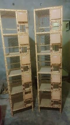 parrot cages 11500