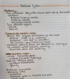 Handwriting Assignment Work