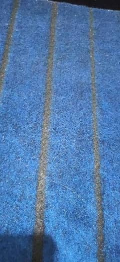 Carpet