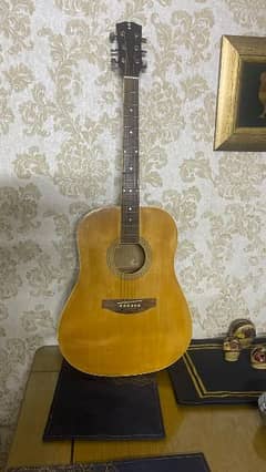 acoustic guitar