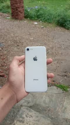 iphone 8 PTA