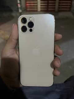 iphone 12 pro pta approved