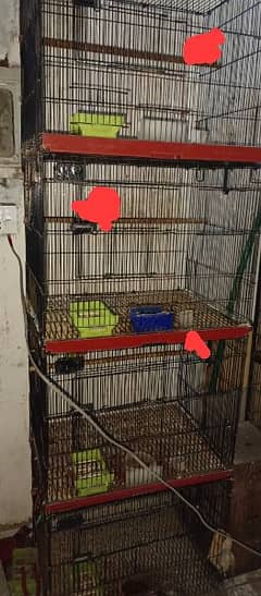 2 by 1.5 foot lovebird cage for sale