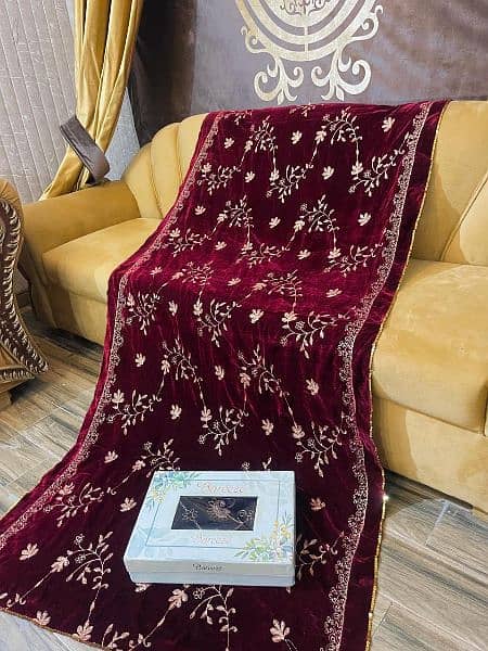 Velvet Embroidered shawls 11