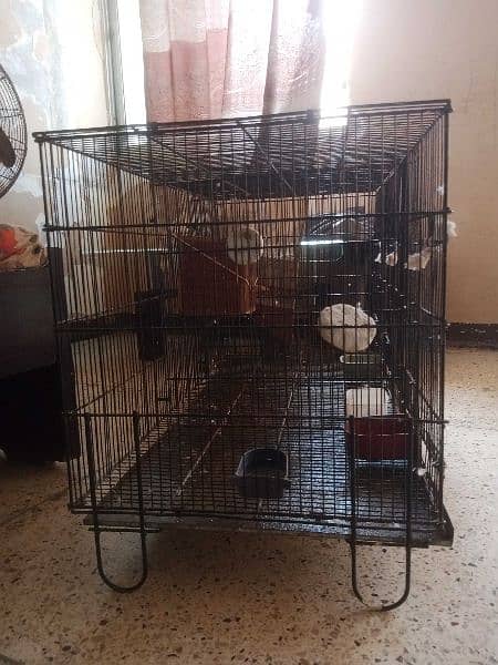 3 portion folding cage 4