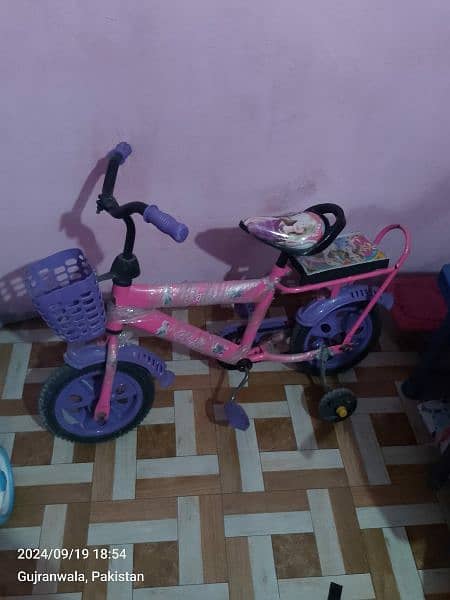 Bicycle for girls 0