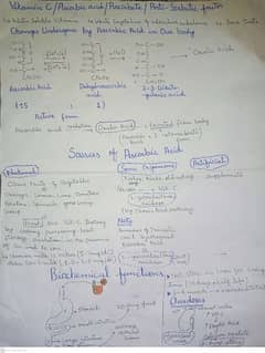 Hand written assignment work