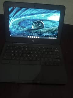 hp chrome book