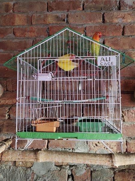 cage for sale 0