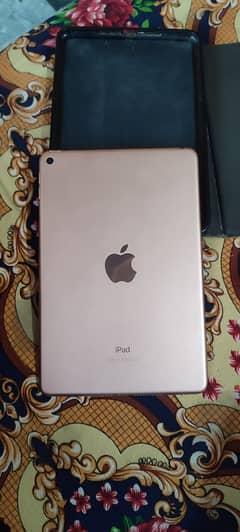 Ipad mini 5 0