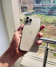 iphone 12 pro max pta approved