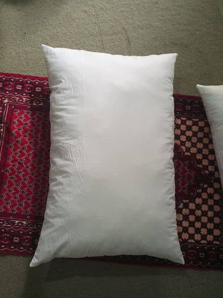 ball fiber pillow &  question available contact no 03492966354 5