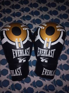 Boxing Gloves (2 pairs)