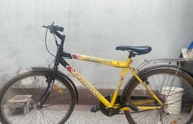 Cycle(sports bicycle)