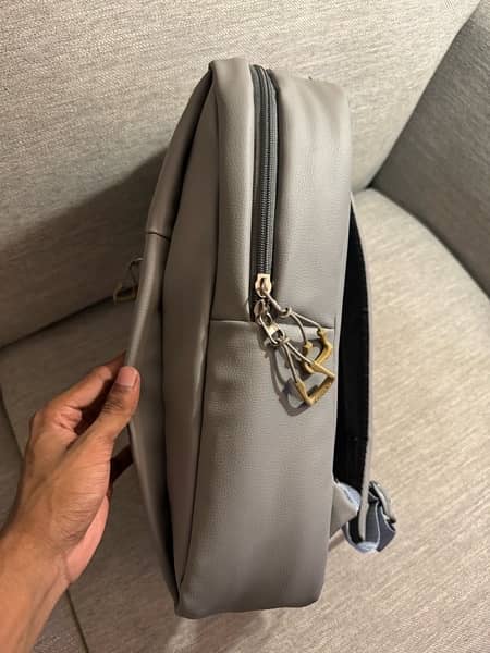 Cat Laptop Bag from Dubai, UAE 2