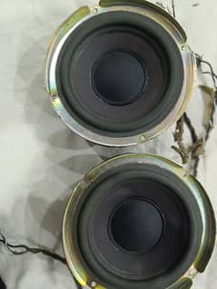 Bose woofers