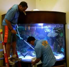 Fish aquarium maintenance