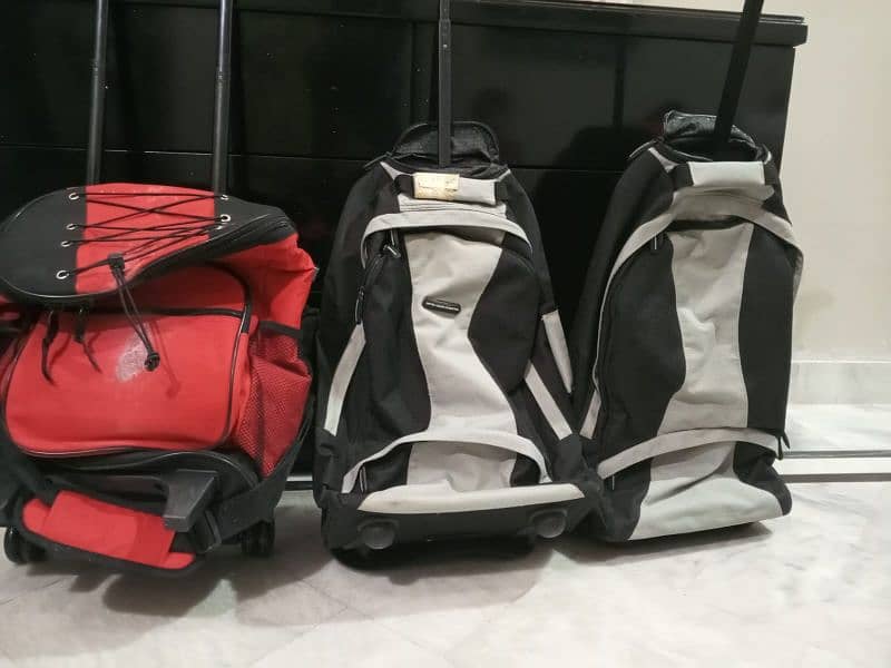 Luggage bags 6