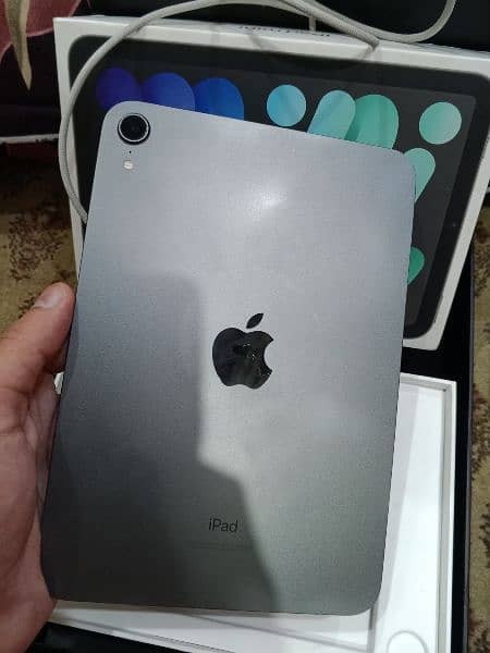 ipad mini 6 0