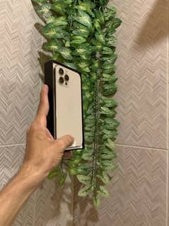 iphone 12pro max 256 GB With Box Non PTA