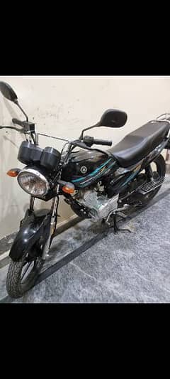 yb 125z dx all ok lush condition 2023 model all ok