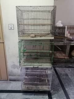 love birds cages 0