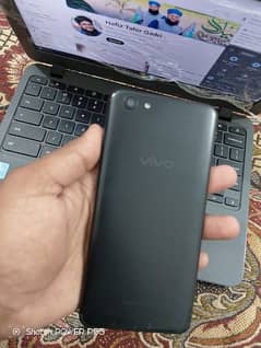 vivo