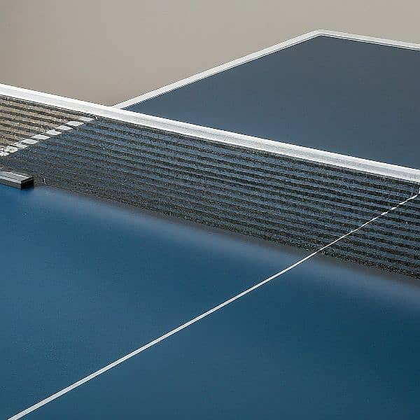 Table Tennis Table 2