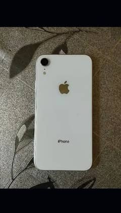 i Phone Xr 128 GB Water Pack Non Active 89% battery 0