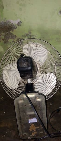 Royal Bracket Fan 1