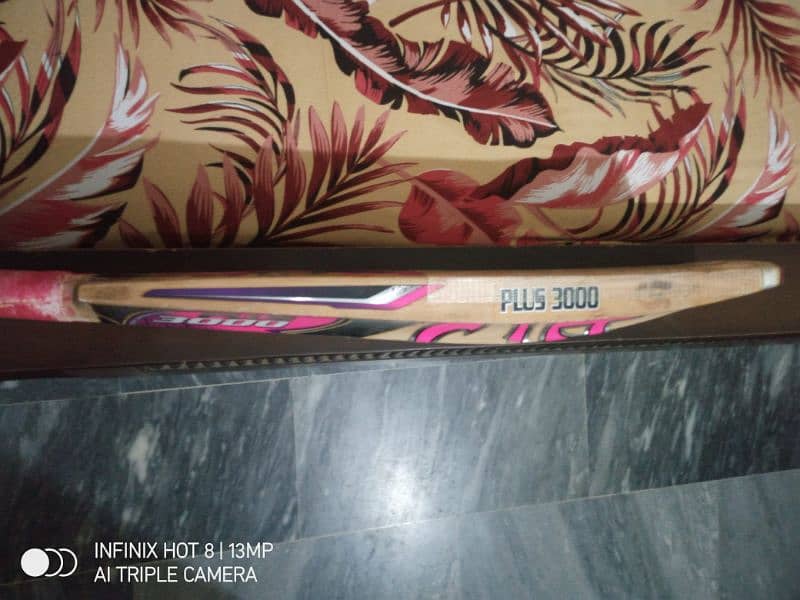 CA plus 3000 cricket bat 1