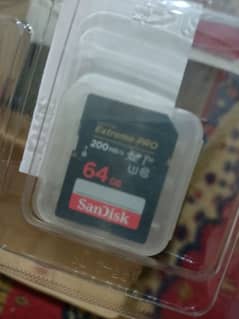 SanDisk