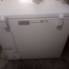 Haier d freezer