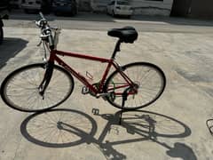 Imported Bicycle Raleigh Radford 7