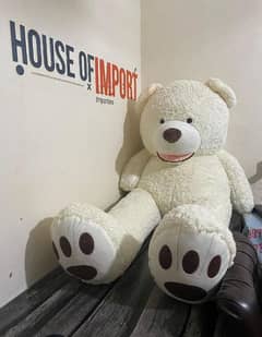 7 feet amarican  teddy bears available All sizes and colours available