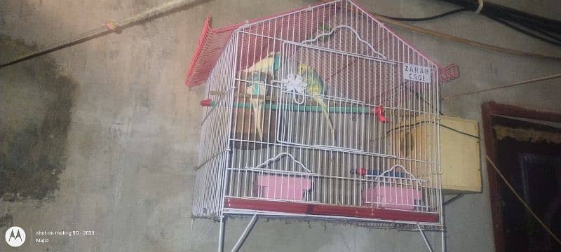 cage sell 1