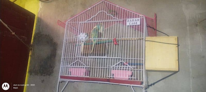 cage sell 4