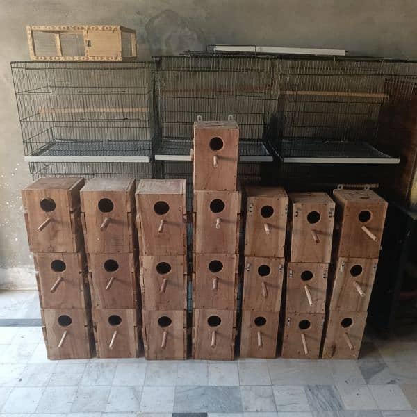 Box And Cage for sale 1