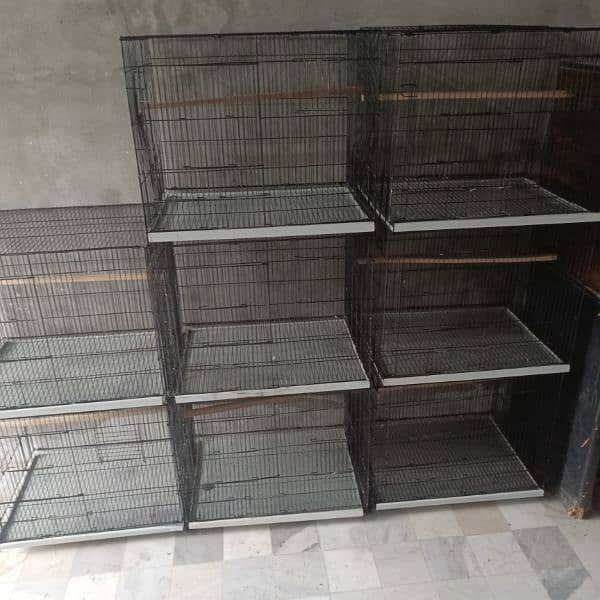 Box And Cage for sale 4