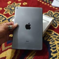 ipad mini 5 256 Wala all ok