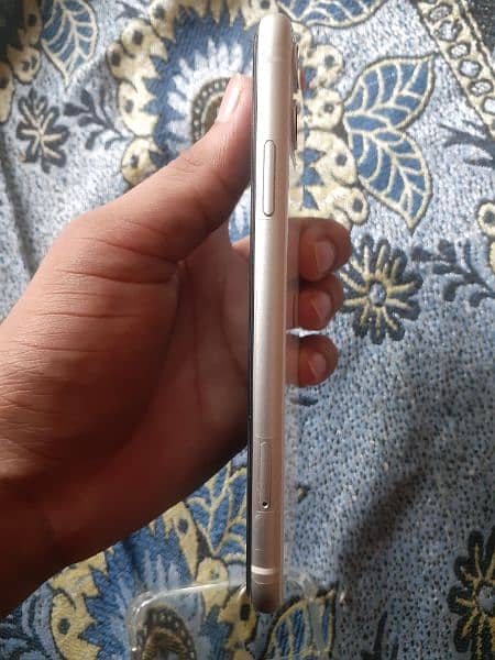 iphone 11 Non pta water pack 1