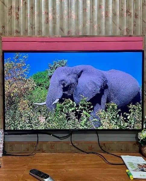 Ecostar Led Tv 55 inch original new condition no fault never repair 1