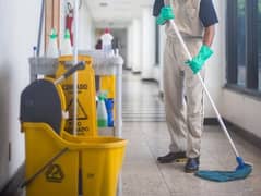 Need A Sweeper & Cleaner For Office