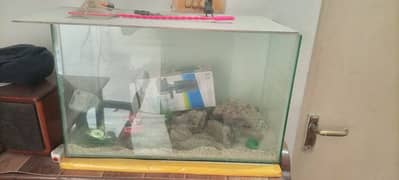 fish aquarium available for sale