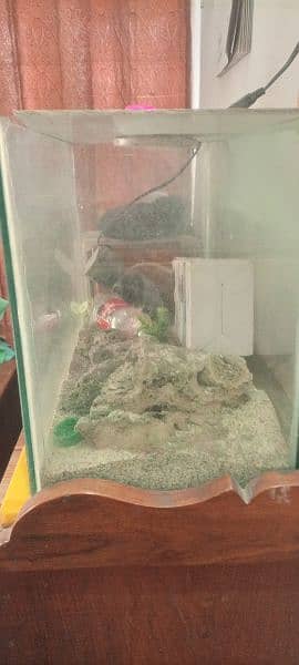 fish aquarium available for sale 1