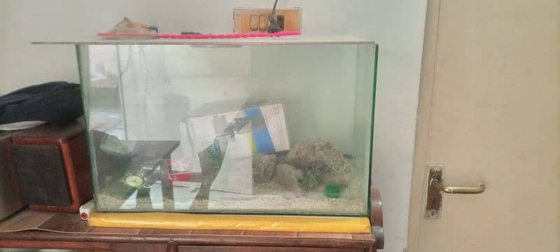 fish aquarium available for sale 2