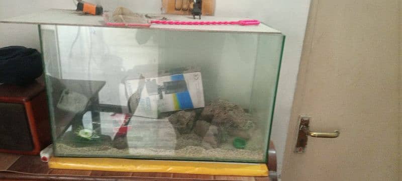 fish aquarium available for sale 3