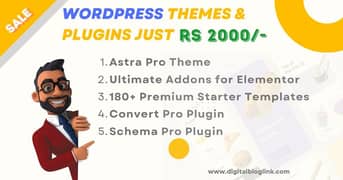 WordPress themes and plugins