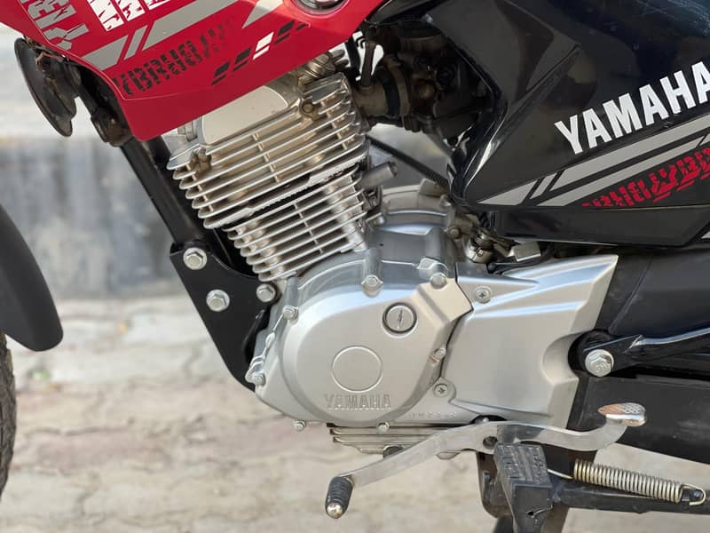 YAMAHA YBR G 125  2023 (0312_6034443) 11