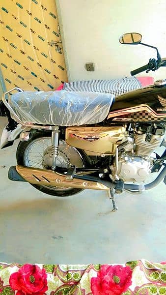 Honda CG 125 gold edition 2024 3